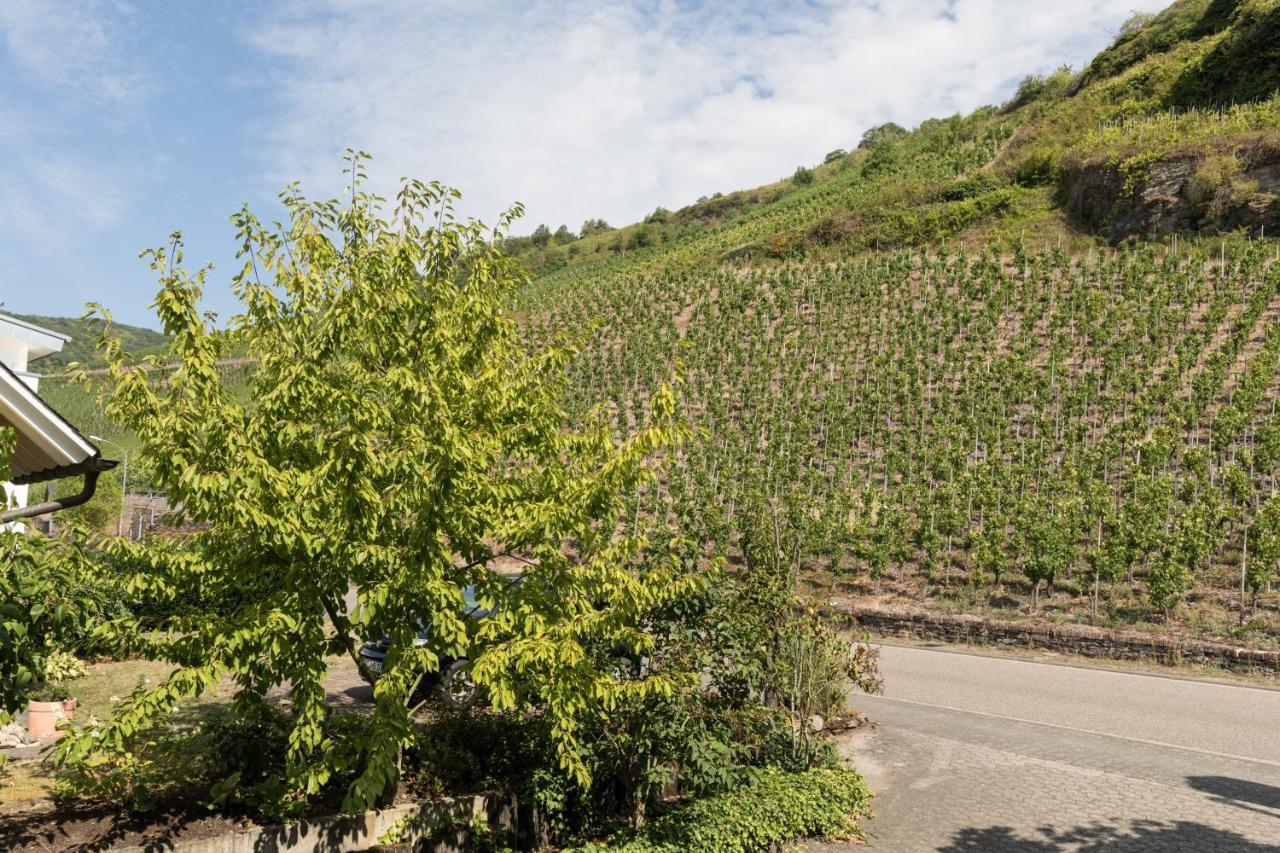 Hotel garni Café im Hamm Zell an der Mosel Esterno foto